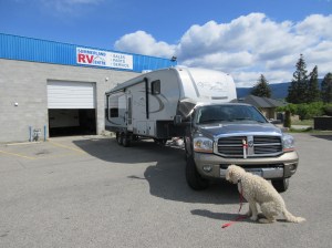 It's all good, The Dog keeps watch on the home on wheels