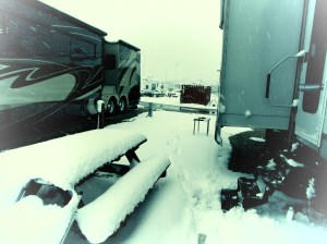 Lunch on the picnic table anyone?