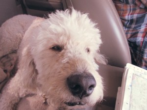 End of Winnipeg into Ontario 075