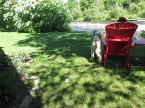 Kingston to Merrickville 139