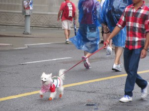 Canada Day Ottawa 120