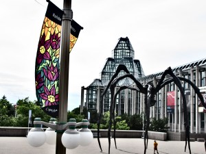 Merrickville to Ottawa 151