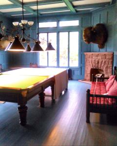 Buffalo head Ministers Island