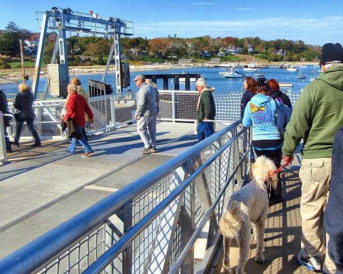 Dog on ferry