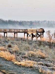 Second batch new camera 068