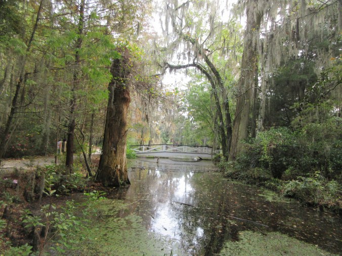 Charleston and Magnolia Plantation tour 103